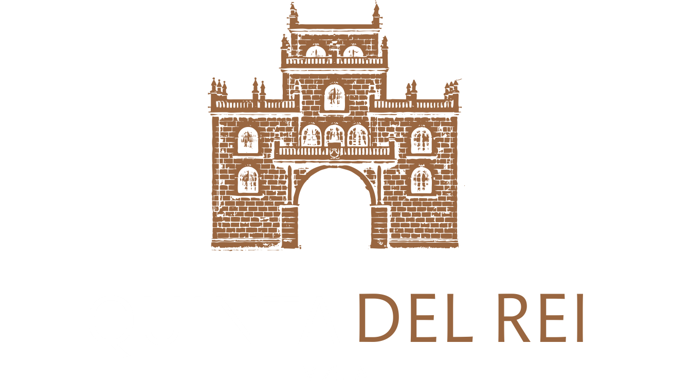 Contact's logo